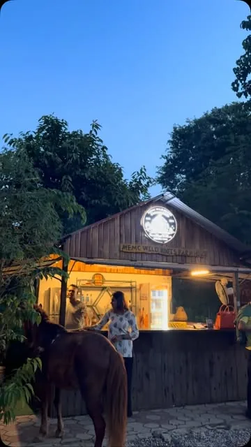 The MEMC Wild Roots Farmhouse cabin lit from inside at dusk, with the carved sign on the gable and a horse standing in the foreground.