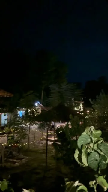 The grounds of MEMC Wild Roots Farmhouse after dark, huts and paths picked out in string lights under a night sky.