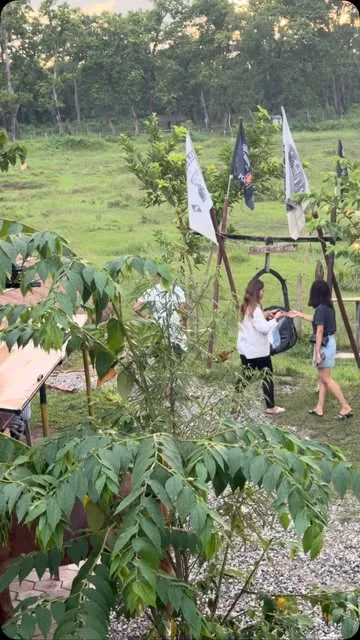 Open meadow at MEMC Wild Roots Farmhouse with a hanging swing, pennant flags on a bamboo frame and the forest treeline beyond.